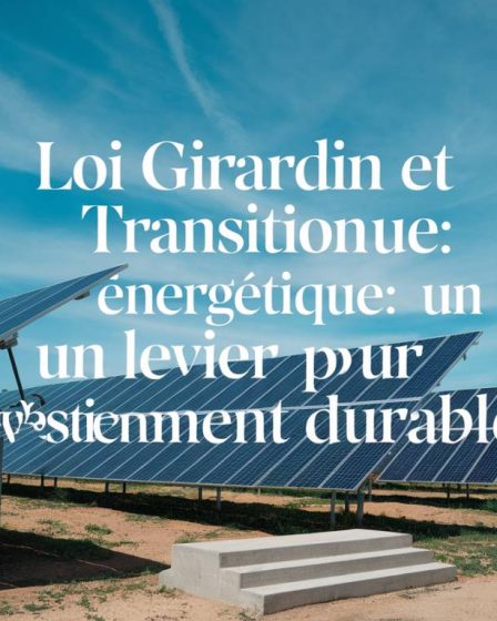 "Loi Girardin et transition énergétique : un levier fiscal pour un investissement durable"