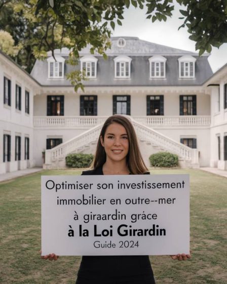 Optimiser son investissement immobilier en Outre-mer grâce à la loi Girardin : guide 2024