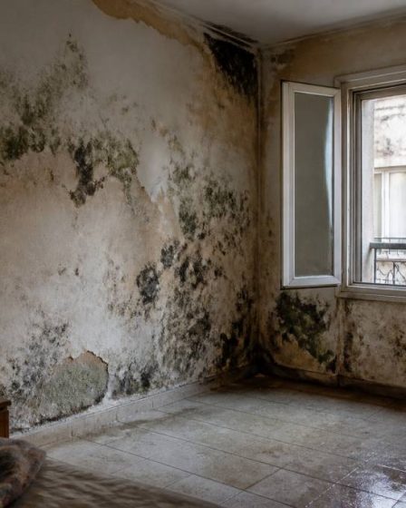 Appartement insalubre : droit du locataire et recours possibles