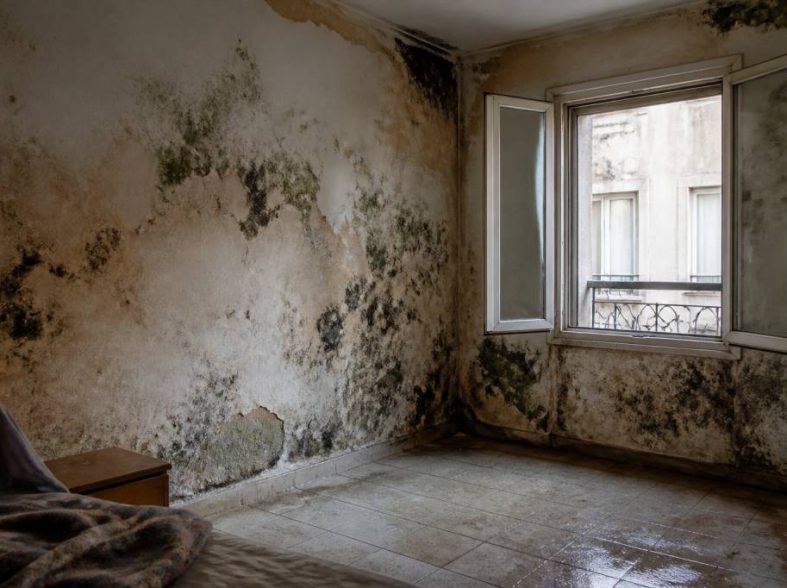 Appartement insalubre : droit du locataire et recours possibles