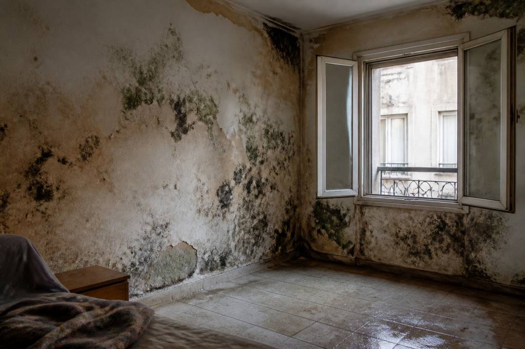 Appartement insalubre : droit du locataire et recours possibles